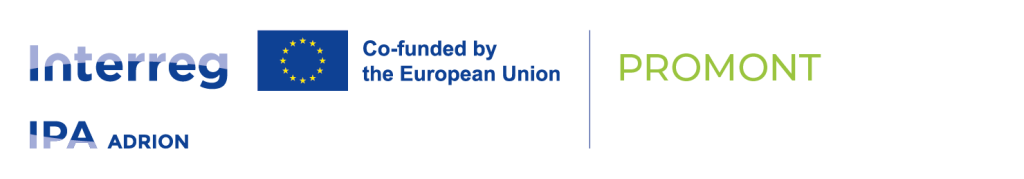 LOGO - PROMONT